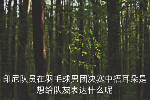 羽毛球男團，2014年仁川亞運會羽毛球男團
