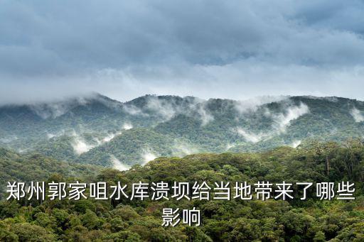 鄭州郭家咀水庫潰壩，鄭州金水河的源流