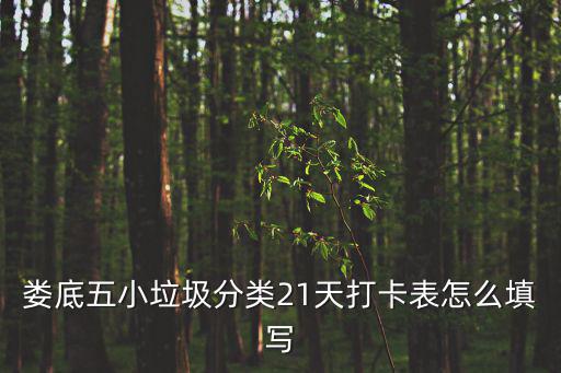 婁底五小垃圾分類21天打卡表怎么填寫