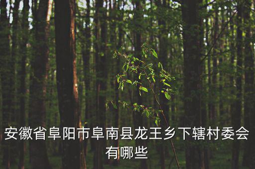 安徽省阜陽市阜南縣龍王鄉下轄村委會有哪些