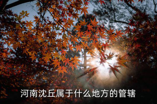 沈丘縣，沈丘是哪個省