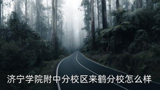 濟寧學院附中分校區來鶴分校怎么樣