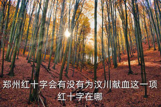 鄭州紅十字會有沒有為汶川獻血這一項紅十字在哪