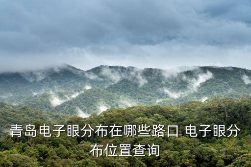 電子眼位置查詢，如果我對闖紅燈有異議的話可以查看電子眼信息嗎可以去哪里查看