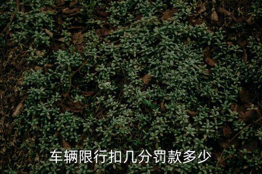 車輛限行扣幾分罰款多少