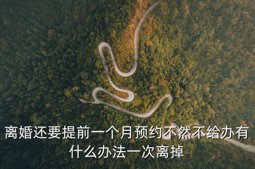 離婚還要提前一個月預約不然不給辦有什么辦法一次離掉