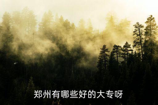 鄭州有哪些好的大專呀