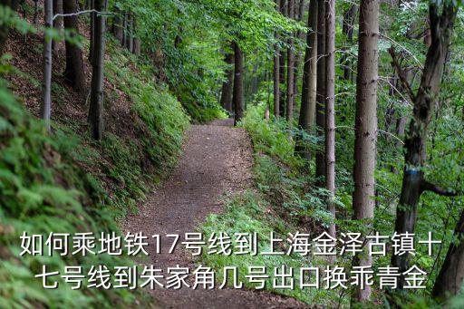如何乘地鐵17號線到上海金澤古鎮十七號線到朱家角幾號出口換乖青金