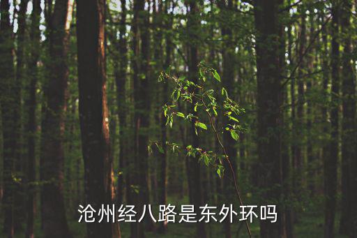 經八路，經八路何時能完工