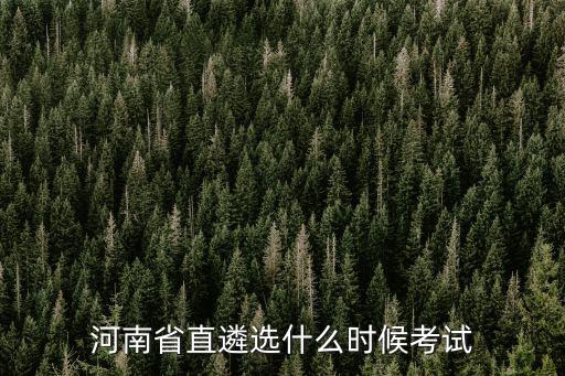 河南省直遴選什么時(shí)候考試