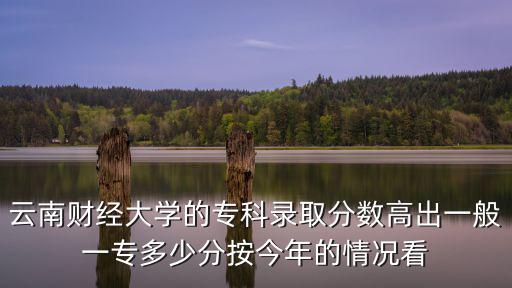 云南財經大學的專科錄取分數高出一般一專多少分按今年的情況看