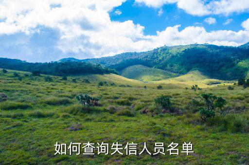如何查詢失信人員名單
