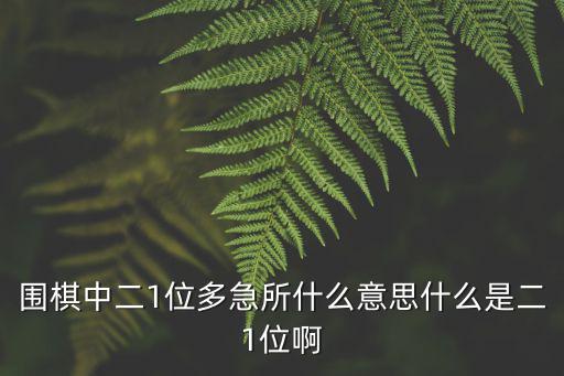 圍棋中二1位多急所什么意思什么是二1位啊