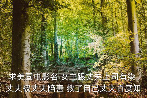 求美國電影名 女主跟丈夫上司有染 丈夫被丈夫陷害 救了自己丈夫百度知