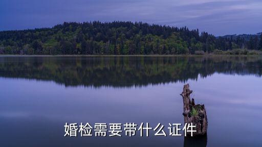 婚檢需要帶什么證件