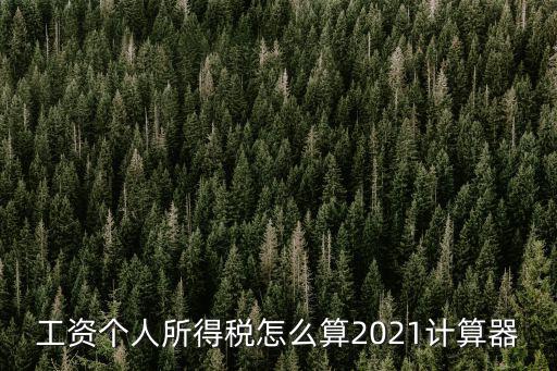 2021個人所得稅計算器，工資個人所得稅怎么算2021計算器
