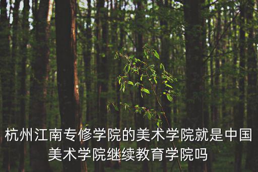 杭州江南專修學院的美術學院就是中國美術學院繼續教育學院嗎