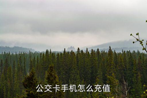 手機(jī)充公交卡，公交卡手機(jī)怎么充值