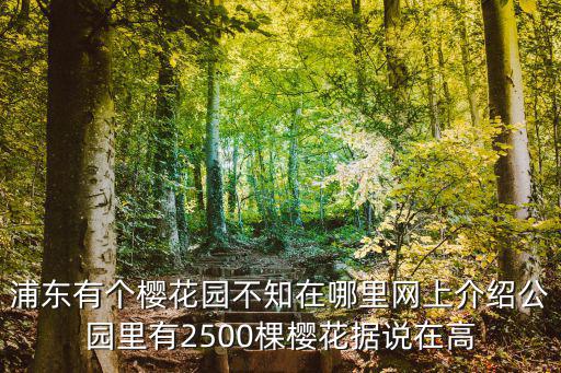 櫻花園在哪里，西安 櫻花園