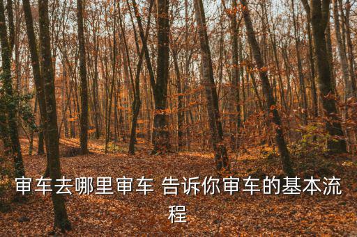 審車去哪里審車 告訴你審車的基本流程