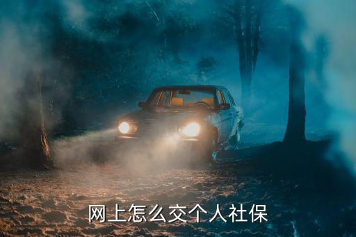 網上怎么交個人社保