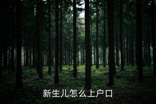 新生兒怎么上戶口，撿來的孩子如何上戶口