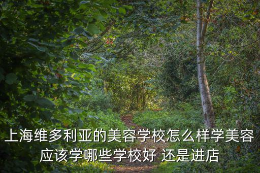 上海維多利亞的美容學校怎么樣學美容應該學哪些學校好 還是進店