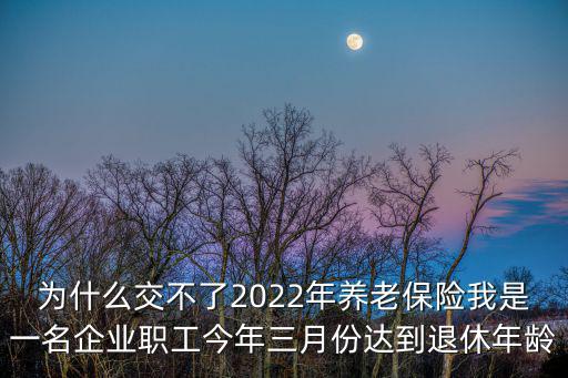 為什么交不了2022年養(yǎng)老保險我是一名企業(yè)職工今年三月份達(dá)到退休年齡