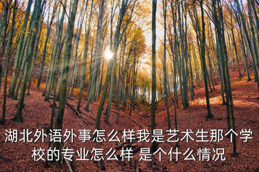 湖北外，湖北外國語大學錄取分數線