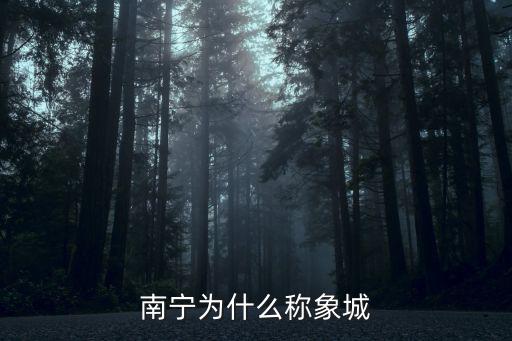 象城，象城是什么城市的簡稱