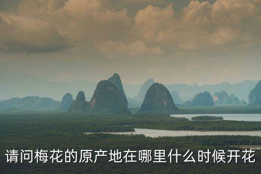 請問梅花的原產地在哪里什么時候開花