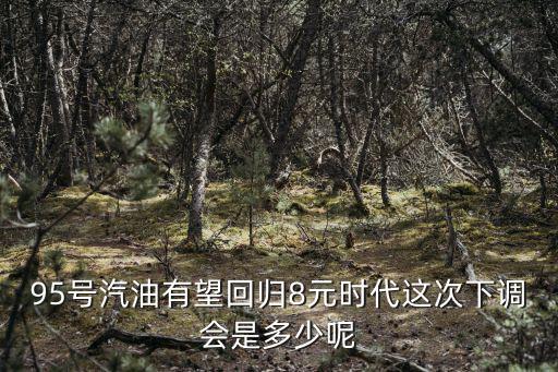 油費(fèi)最新調(diào)價(jià)，83路公交車(chē)新調(diào)價(jià)后票價(jià)多少錢(qián)