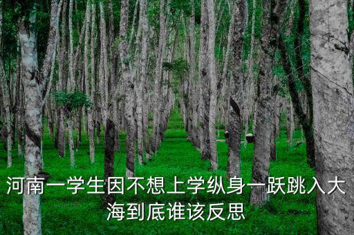 河南一學生因不想上學縱身一躍跳入大海到底誰該反思