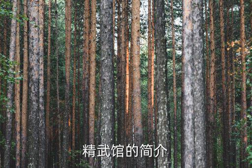 精武館的簡介
