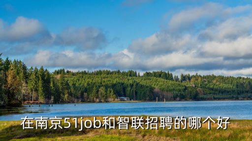 在南京51job和智聯招聘的哪個好