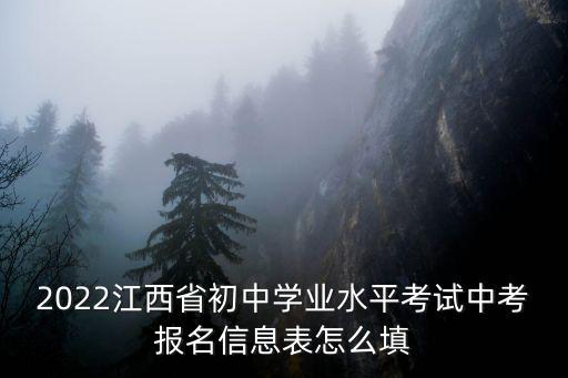 2022江西省初中學業水平考試中考報名信息表怎么填