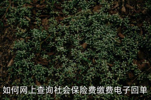 如何網(wǎng)上查詢社會保險費繳費電子回單