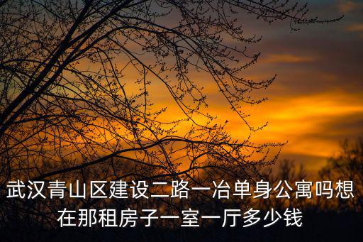 武漢青山區建設二路一冶單身公寓嗎想在那租房子一室一廳多少錢
