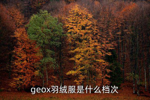 geox，GEOX是什么牌子呀
