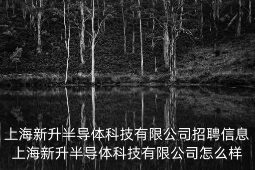 上海新升半導體科技有限公司招聘信息上海新升半導體科技有限公司怎么樣