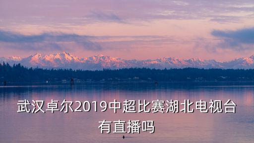 武漢卓爾2019中超比賽湖北電視臺(tái)有直播嗎