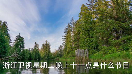 浙江衛視節目表今天表，浙江衛視深夜劇場播的是什么電視劇
