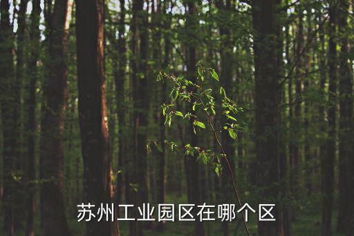 蘇州工業(yè)園區(qū)在哪個(gè)區(qū)