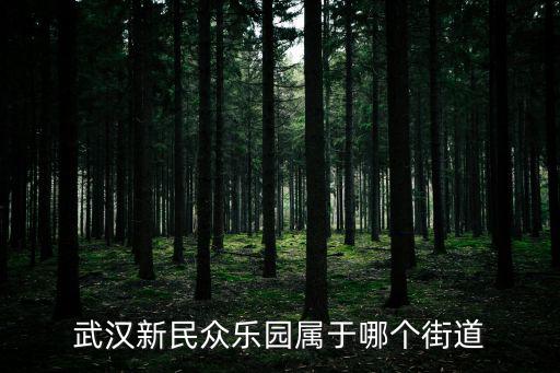 新民眾樂園，請問武漢光谷廣場怎么坐公交去新民眾樂園環藝電影院