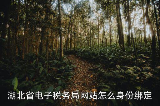 湖北電子，湖北電子眼違章查詢