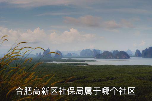 合肥高新區社保局屬于哪個社區