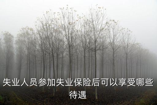 失業(yè)人員參加失業(yè)保險(xiǎn)后可以享受哪些待遇
