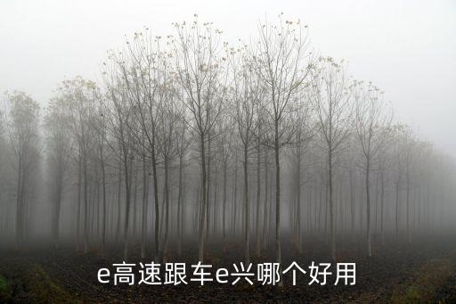 e高速跟車e興哪個好用