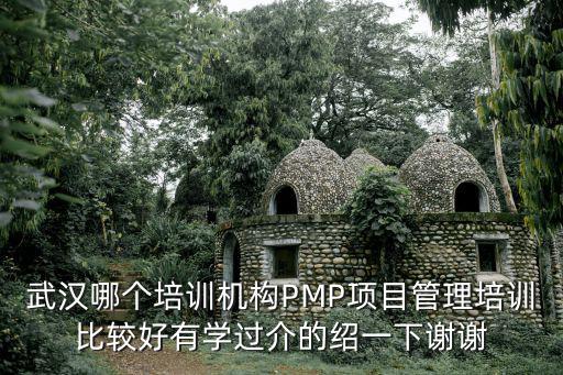 武漢哪個培訓機構PMP項目管理培訓比較好有學過介的紹一下謝謝