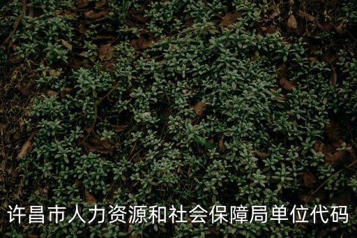 許昌市人力資源和社會保障局單位代碼